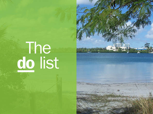 20 Best Things To Do In Florida To Help Plan Your Visit