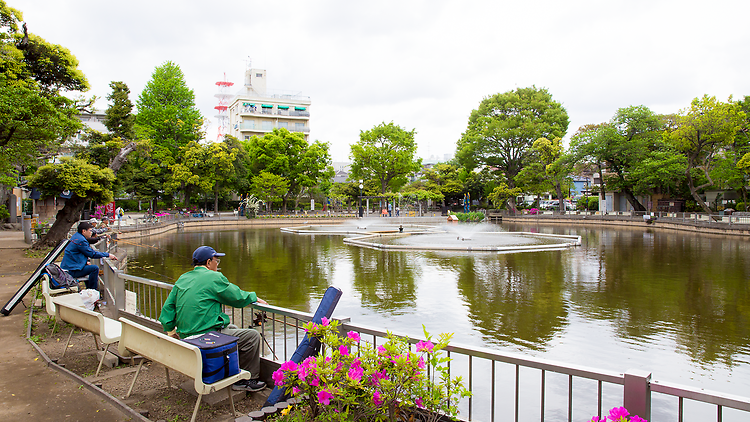 清水池公園