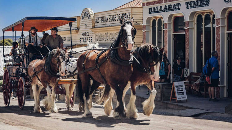 Drysdale horses pulling along a horse and cart at Sovereign Hill