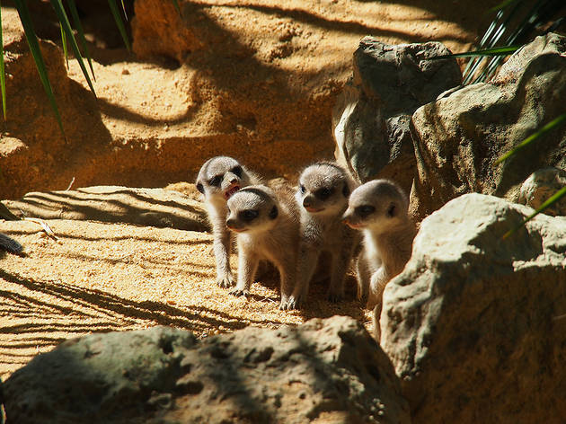 Jardim Zoológico de Lisboa Jardim Zoológico de Lisboa