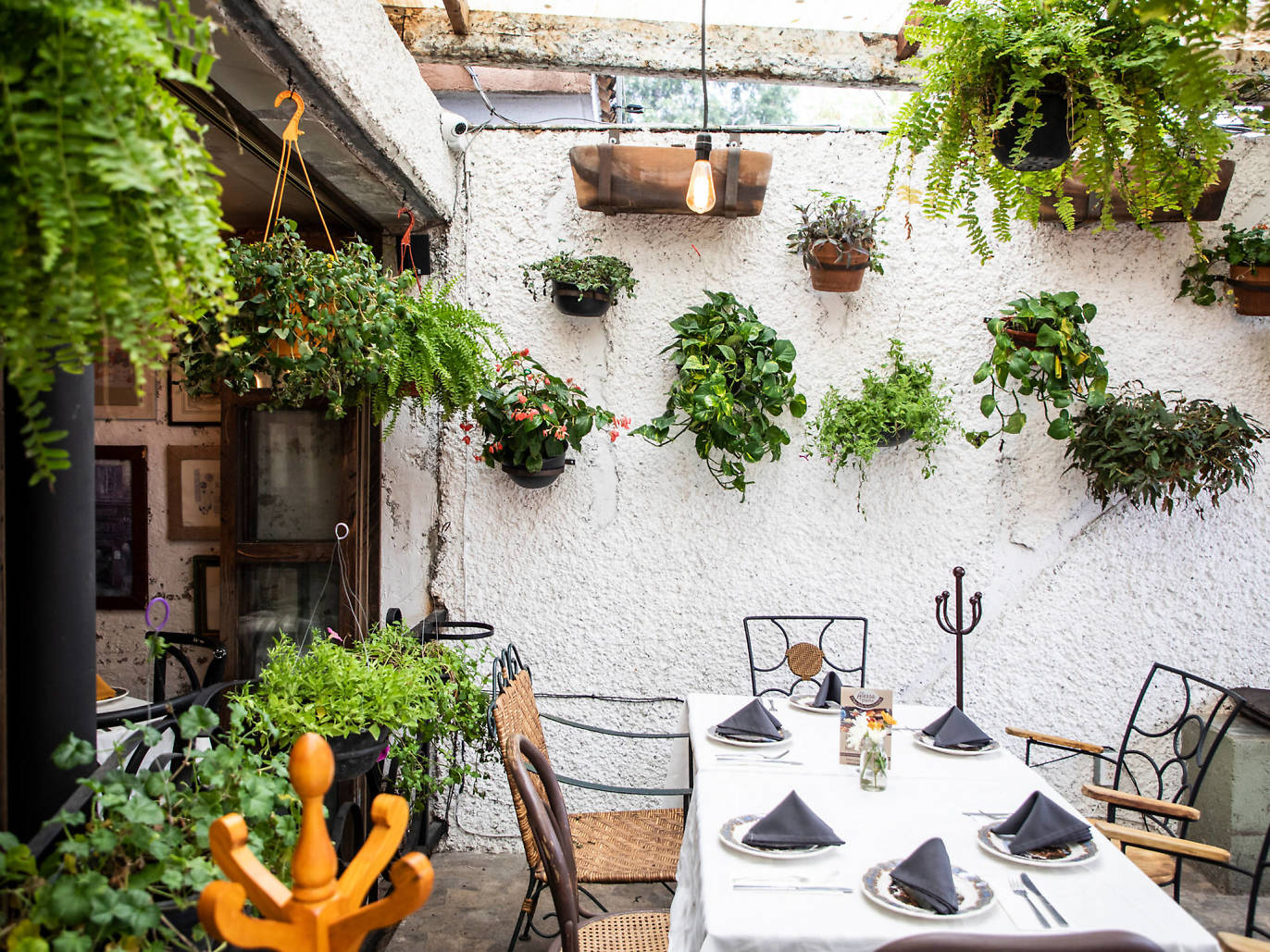 Las mejores cafeterías con terraza en la CDMX