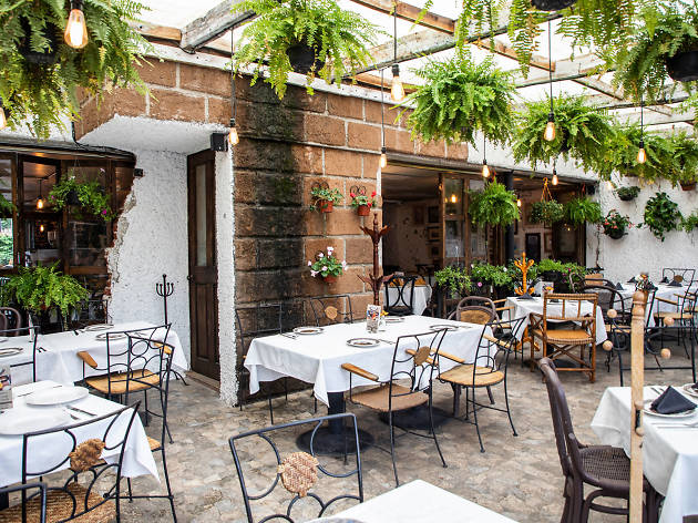 Alessa Café Alessa Café