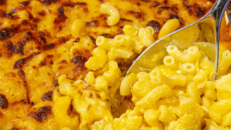 Comfort food macaroni close up