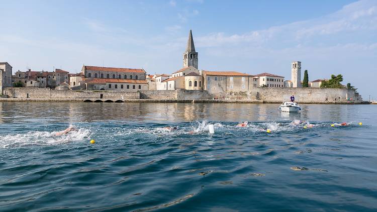 Porečki delfin - Poreč Dolphin