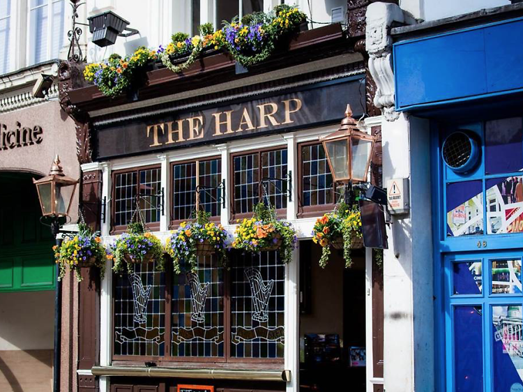 The Harp