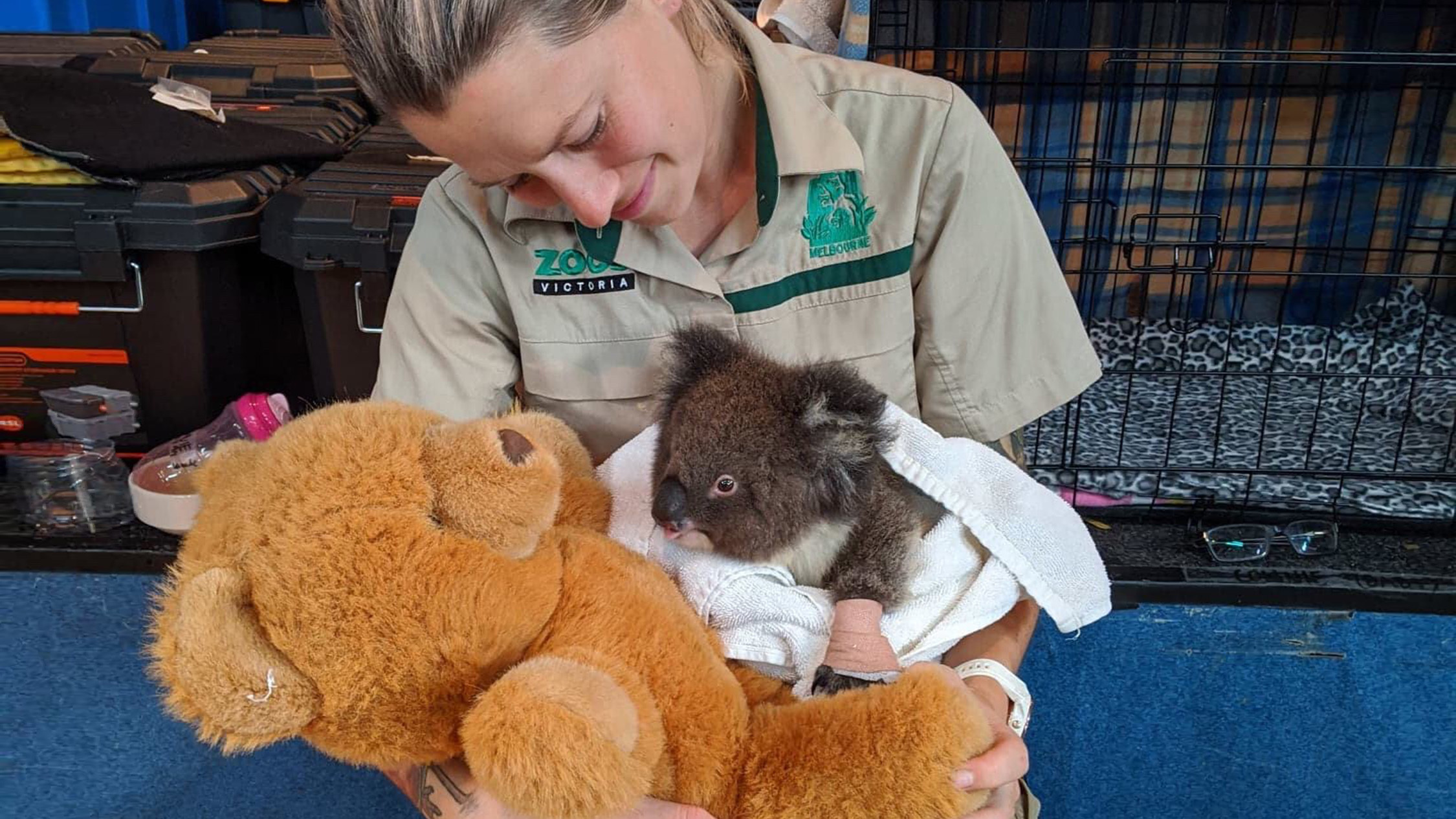 zookeeper stuffed animals