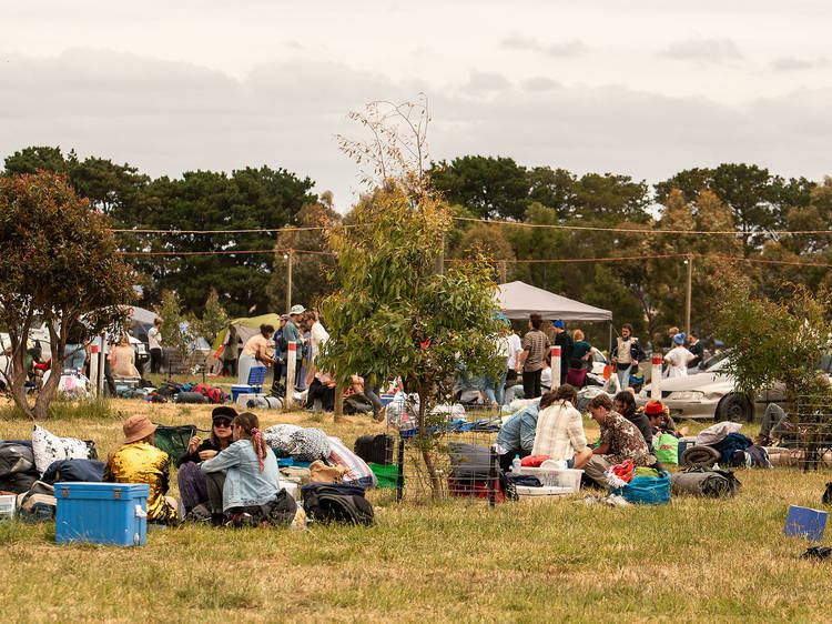 Meredith Music Festival 2019