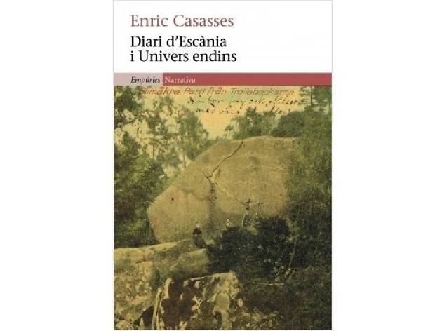 Diari d'Escània Diari d'Escània