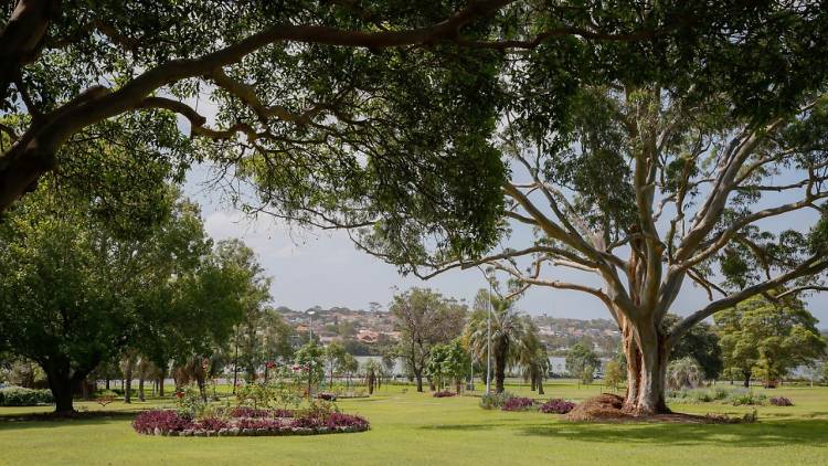 Robson Park Haberfield