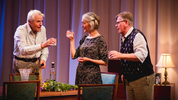 Two elderly men and an elderly woman toasting drinks