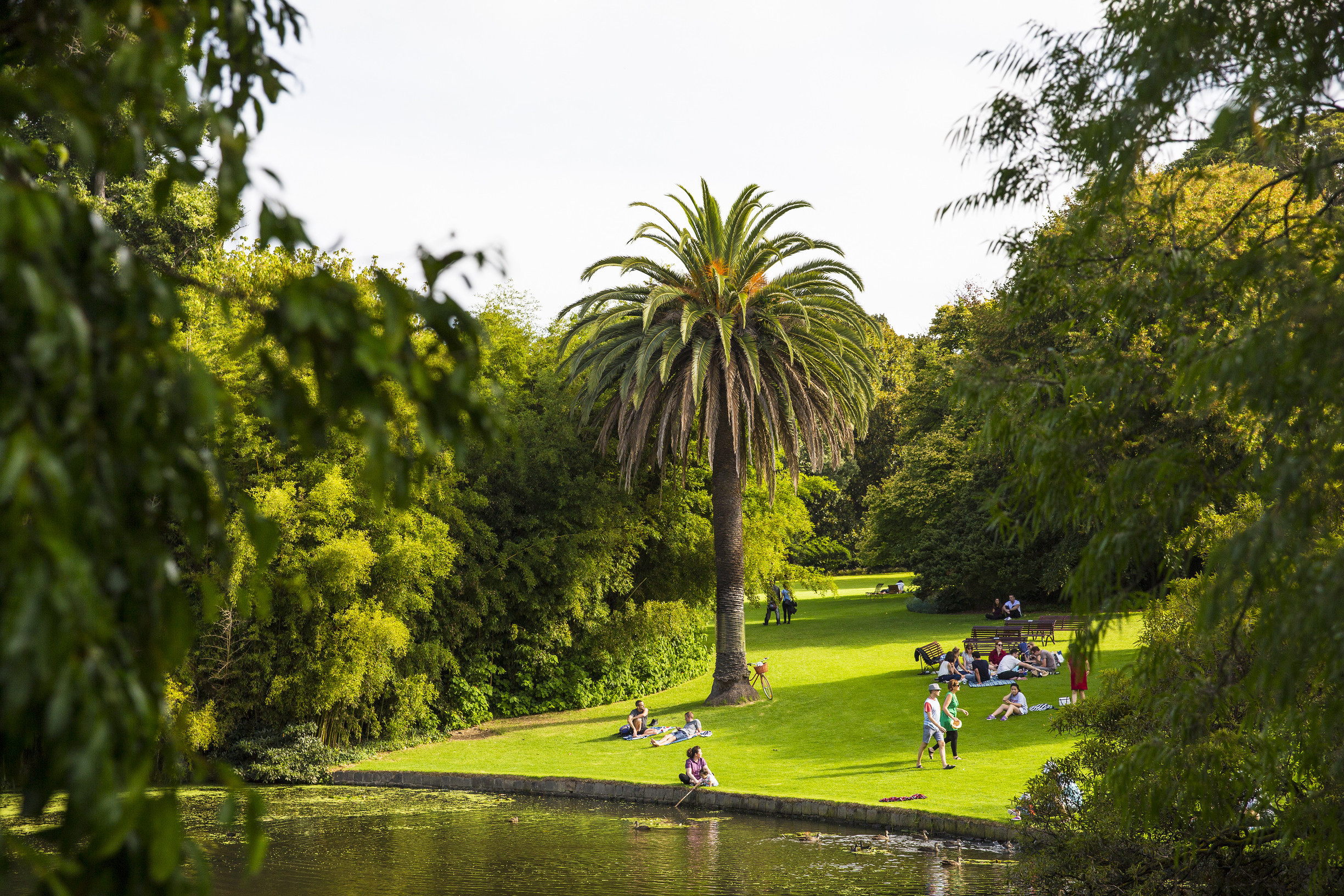 what-is-defined-as-outdoor-recreation-melbourne-s-picnic-rules-explained