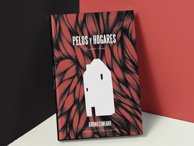 Pelos y hogares Pelos y hogares