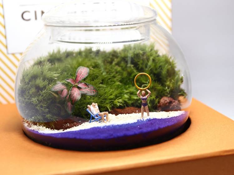 Bonart: Terrarium