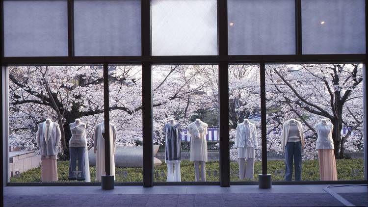 Mannequins in windows