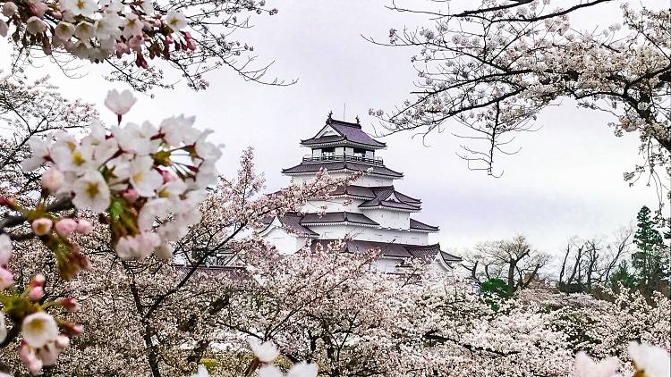 Tsuruga Castle, Fukushima