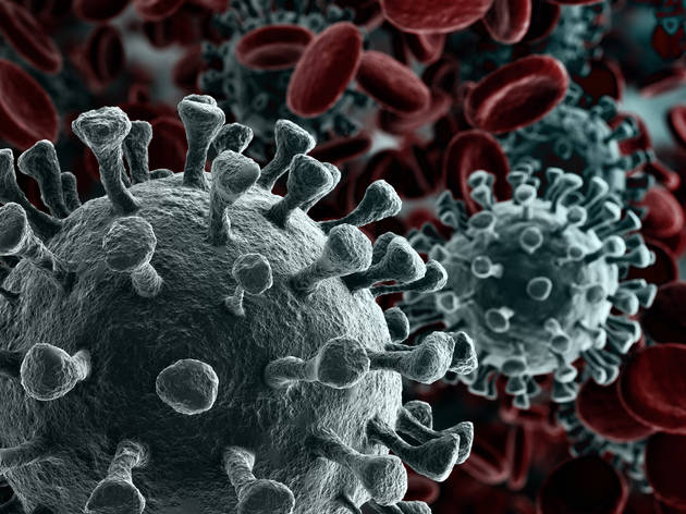 Here's how NYC Schools are taking action against the coronavirus Here's how NYC Schools are taking action against the coronavirus