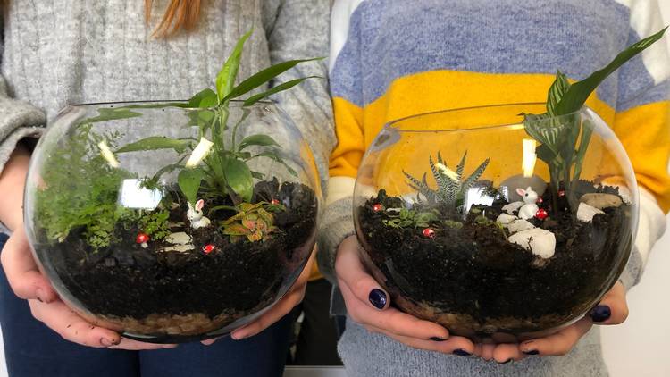 Two terrariums in glass bowls are being held up by people wearing jumpers.