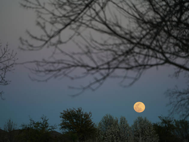 Super worm moon Super worm moon