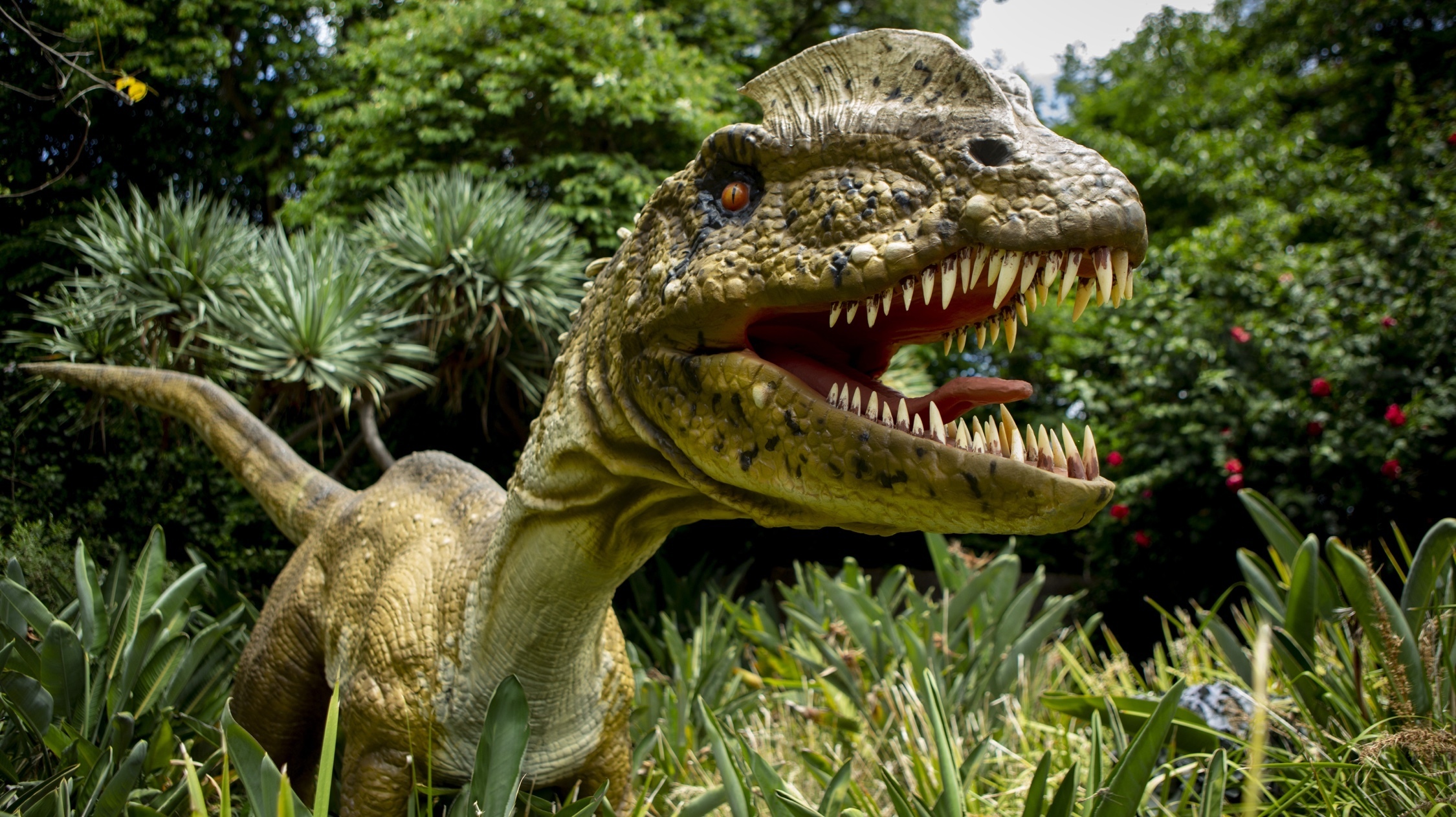 Tierra Jurásica: Dinosaurios robotizados en Xochitla