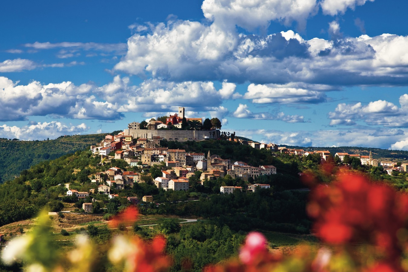 Make way to Istria for the Motovun Film Festival from July 27 to 31