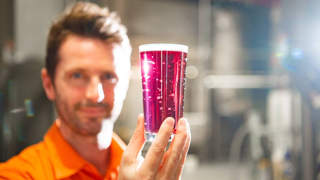 Sweet and Sour Beer Festival Things to do in Melbourne