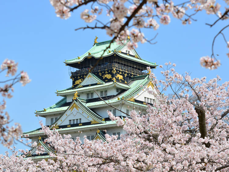 Osaka Castle, Osaka