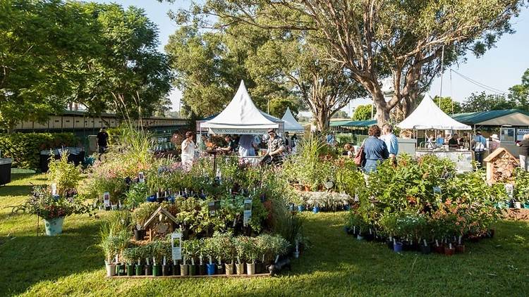 Collectors' Plant Fair