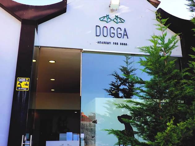 Dogga A Dogga fica em Francos