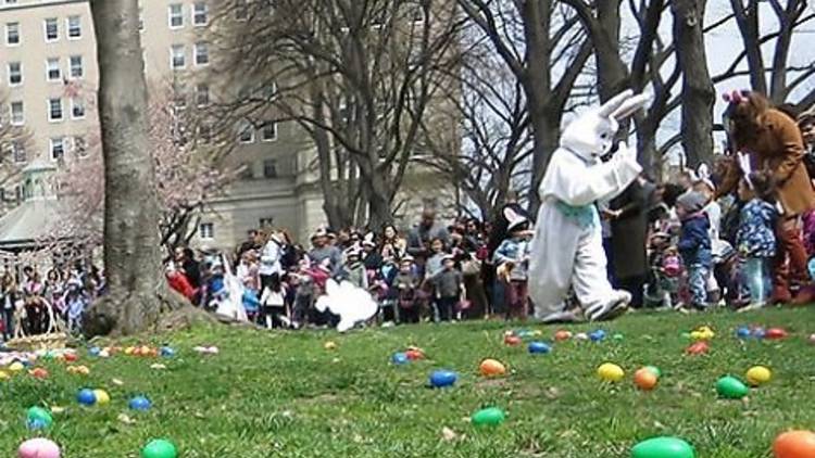 Easter Egg Hunt & Bunny Fun from Think 'n' Fun | Things to do in New York  Kids