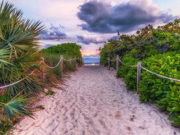 Virtually chill on 825 miles of pristine Florida coastline Virtually chill on 825 miles of pristine Florida coastline