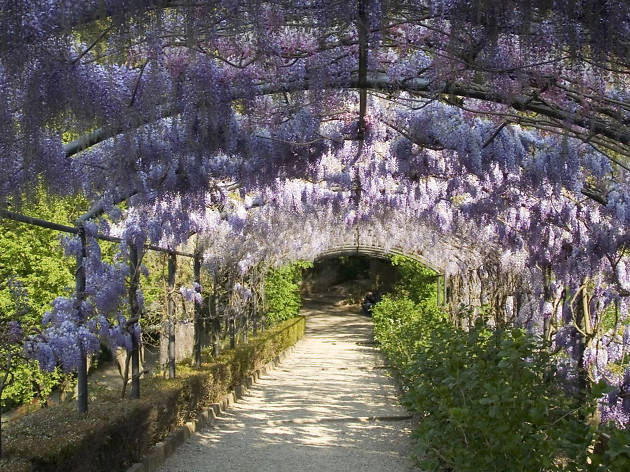 Giardino Bardini Giardino Bardini