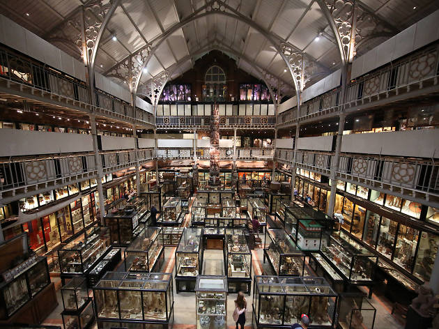 Pitt Rivers Museum Pitt Rivers Museum