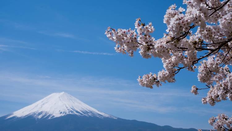 Mt Fuji