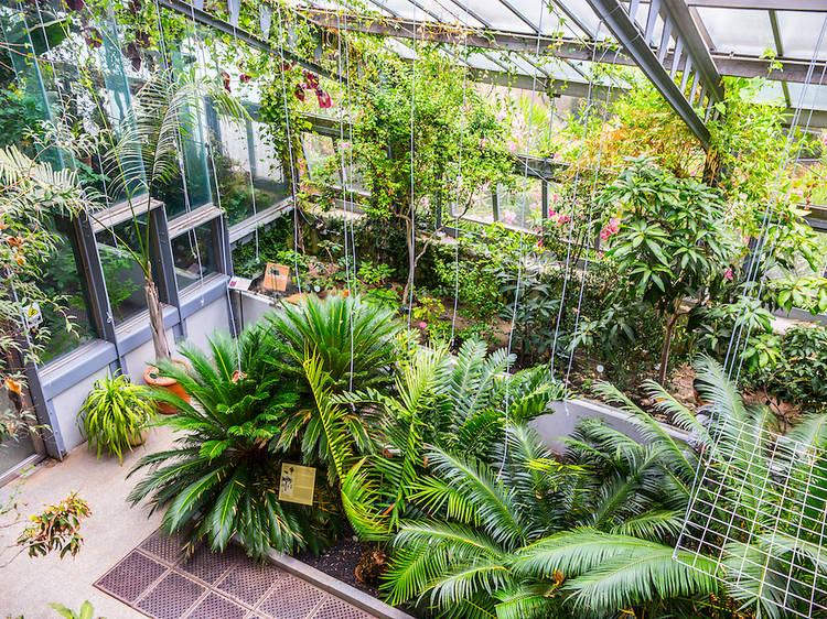 Palacio de Cristal de Arganzuela greenhouse