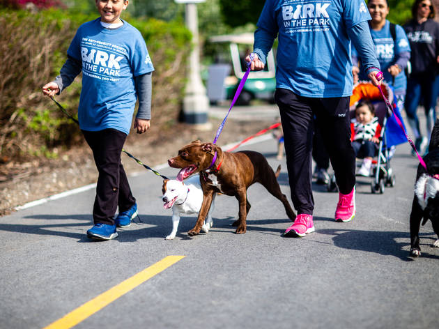 Bark in the Park Bark in the Park