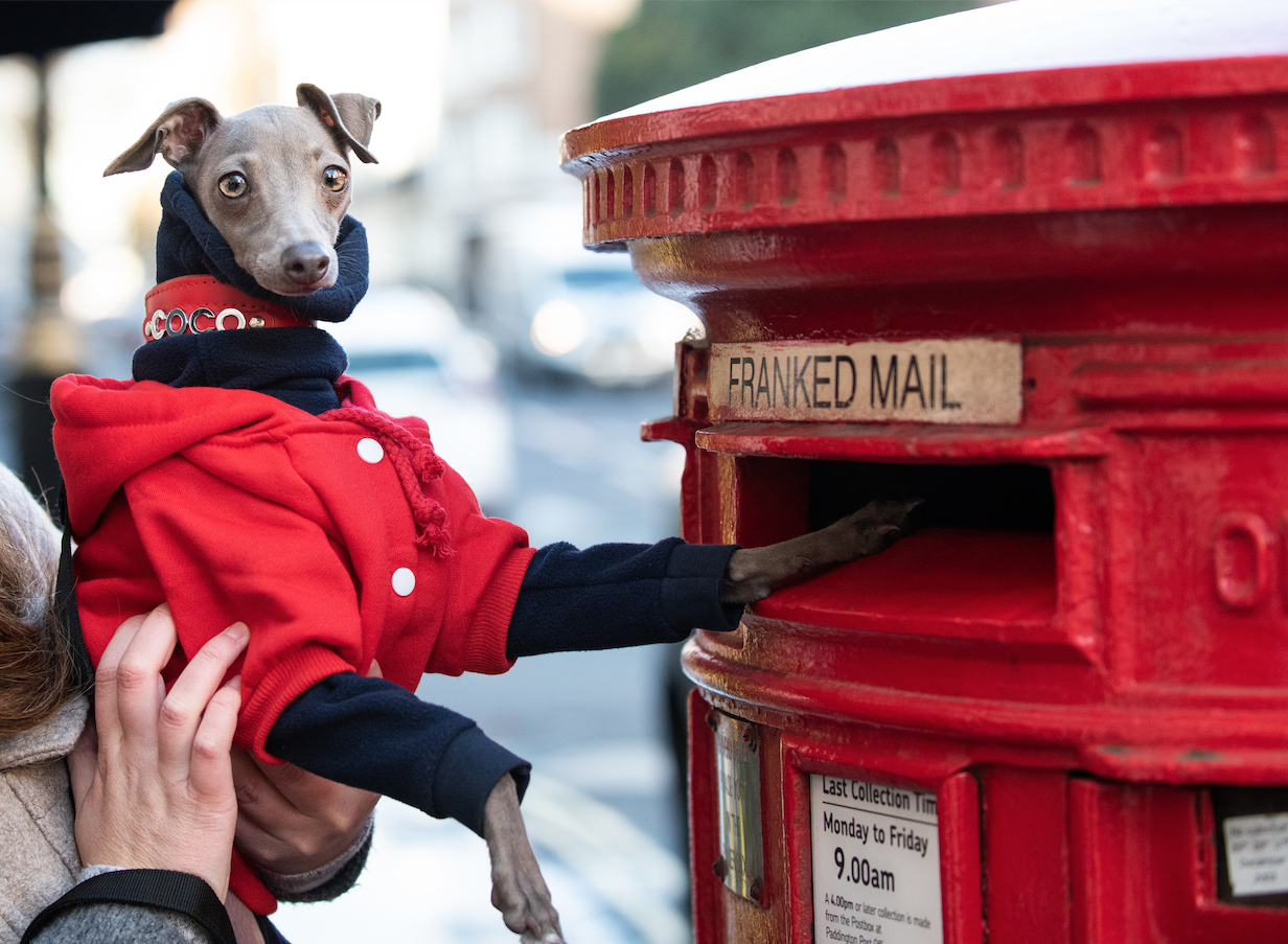 London Dog Week Things to do in London