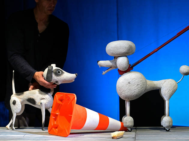 ¡perrito no puedes hacerlo! ¡perrito no puedes hacerlo!