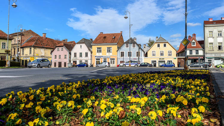 Pastel-coloured houses and flowers in Karlovac's city centre