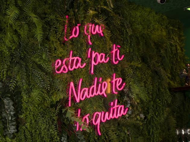 Calle 23 Calle 23