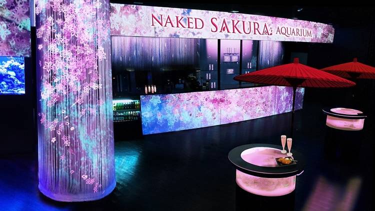 NAKED SAKURA AQUARIUM