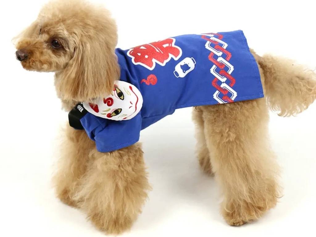 These are the cutest and weirdest Japanese pet products Time Out Tokyo