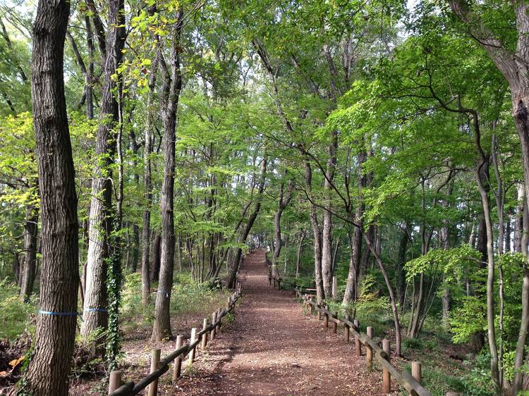 Sayama Hills, Saitama prefecture