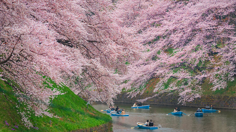 Chidorigafuchi Boathouse