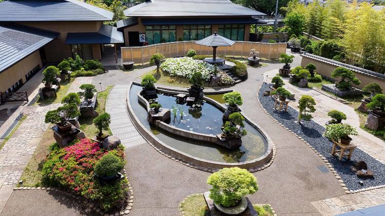 Omiya Bonsai Art Museum