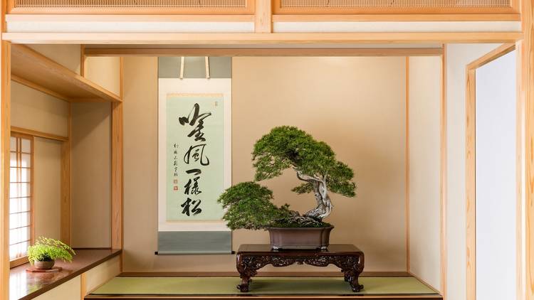 Omiya Bonsai Art Museum 