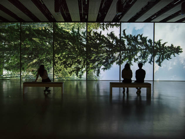 Among the trees at Hayward Gallery Among the trees at Hayward Gallery