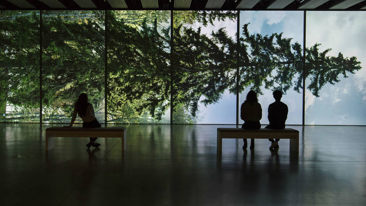 Among the trees at Hayward Gallery