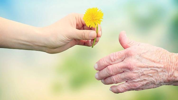 Young hand, flower and old hand