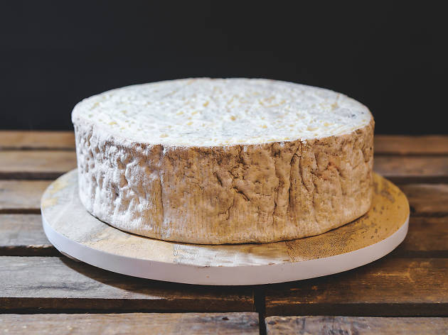 Gorgonzola Gorgonzola