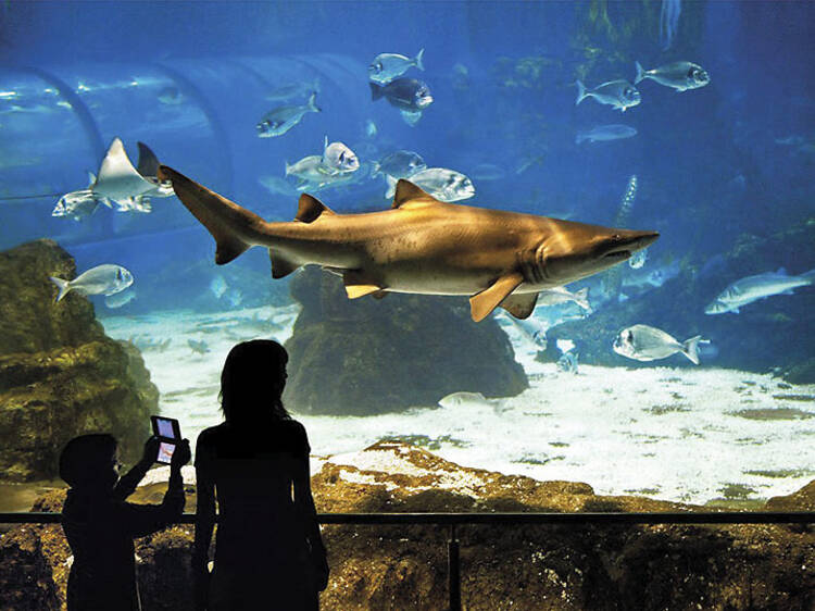 Aquàrium de Barcelona